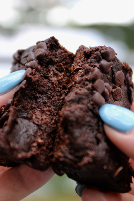Shockingly Healthy! Gluten Free Double Chocolate Brownie (70g)